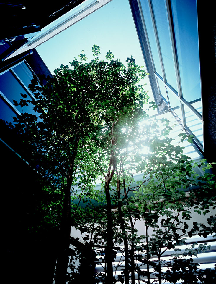 光を囲む家：内装・インテリア