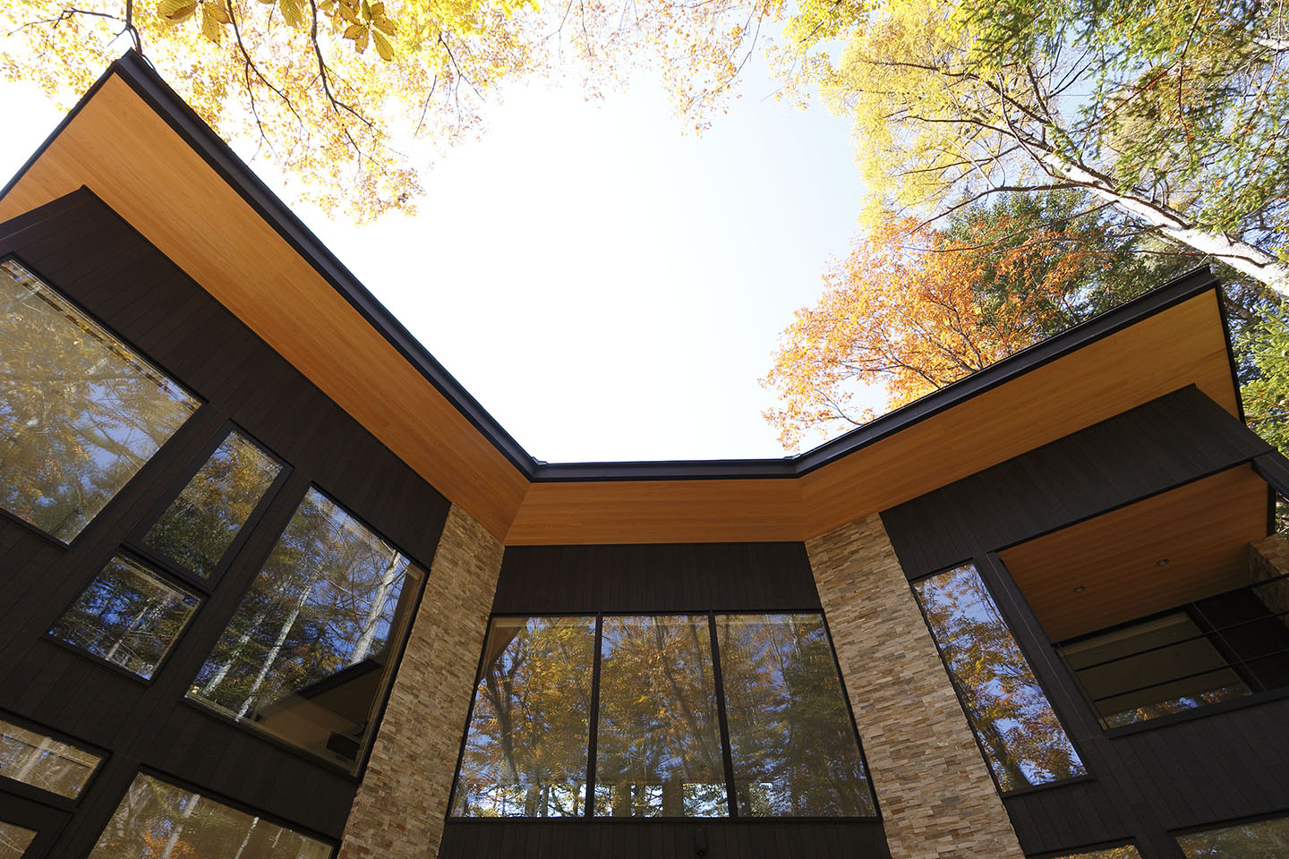 Villa In Forest 05：外観