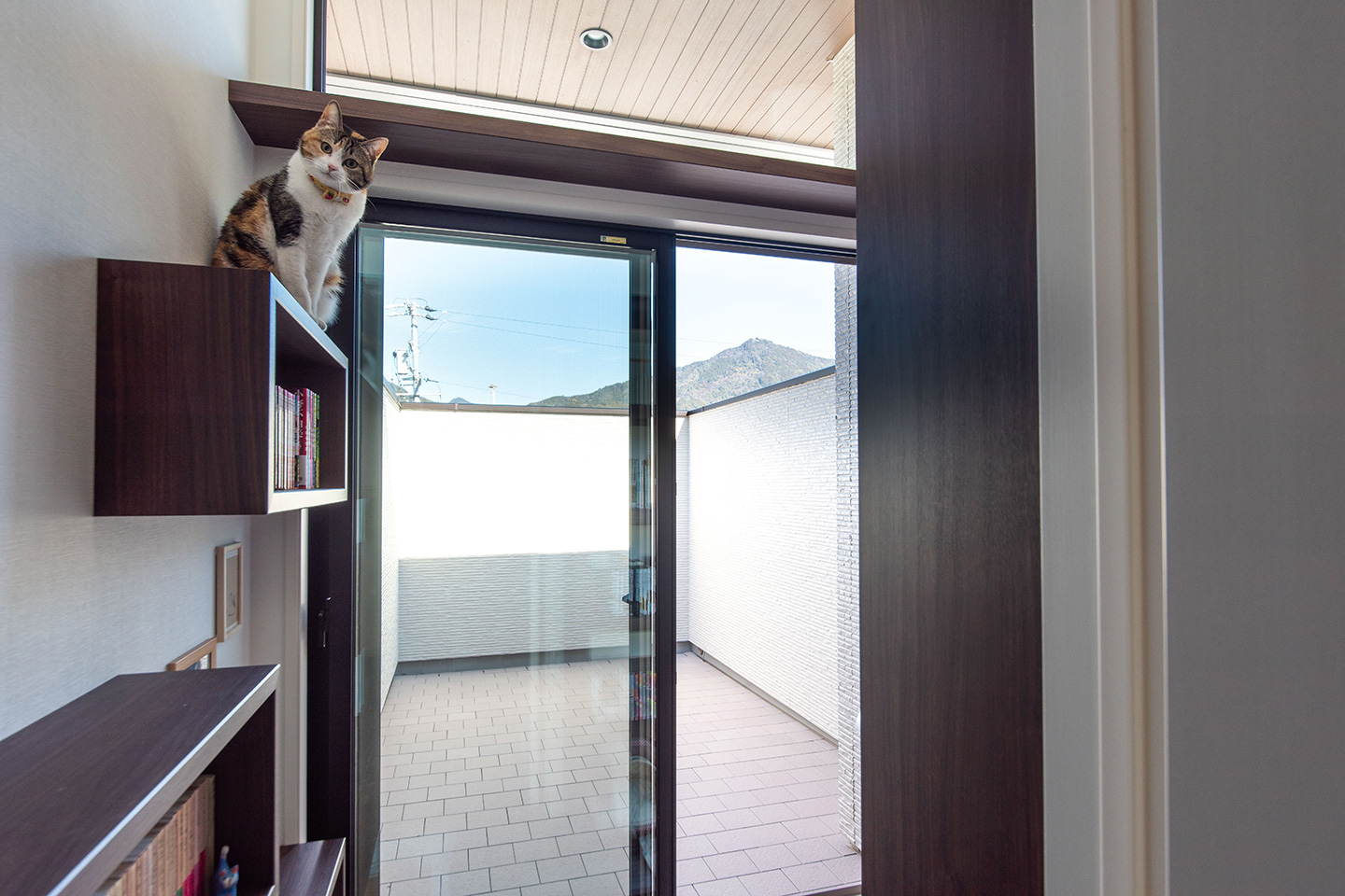 サペリとペダル：内装・インテリア