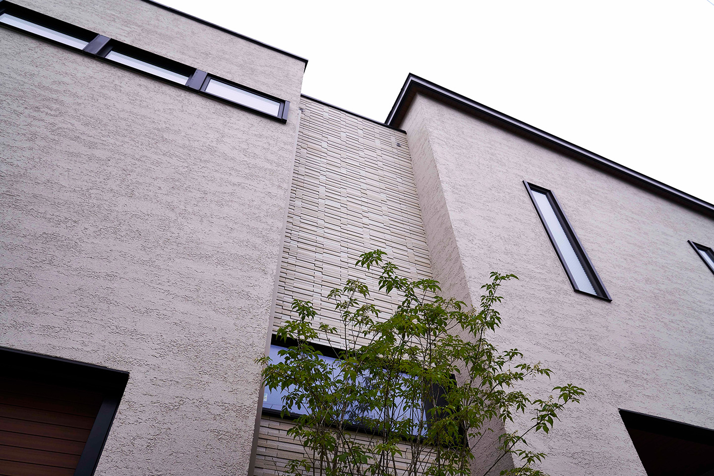 空と緑と住まう：外観