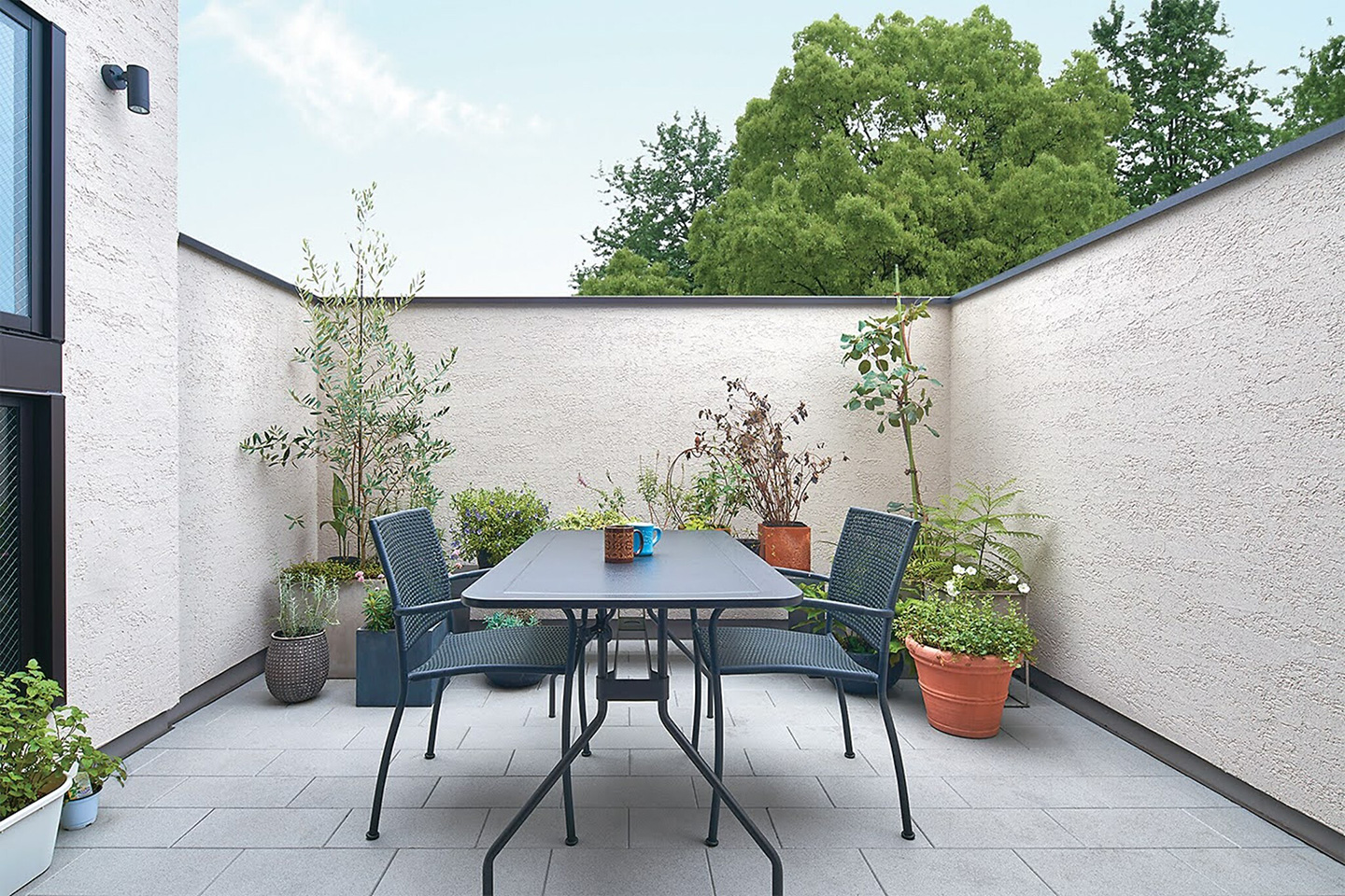 空と緑と住まう：内装・インテリア