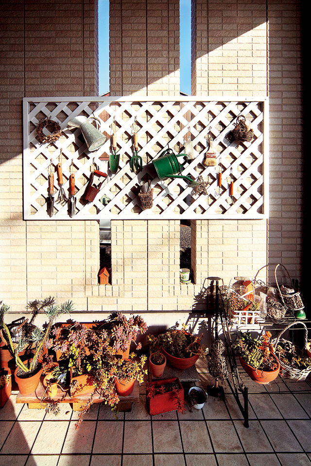 B-flat Blues：外観