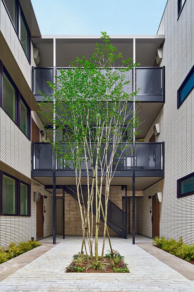 木造ゼロエミマンション：外観