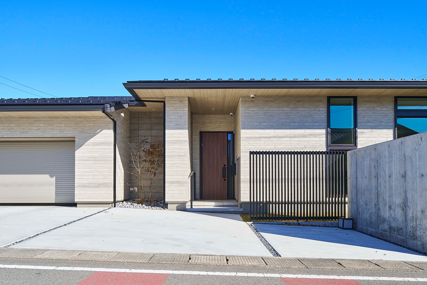 Horizontal Canopy：外観