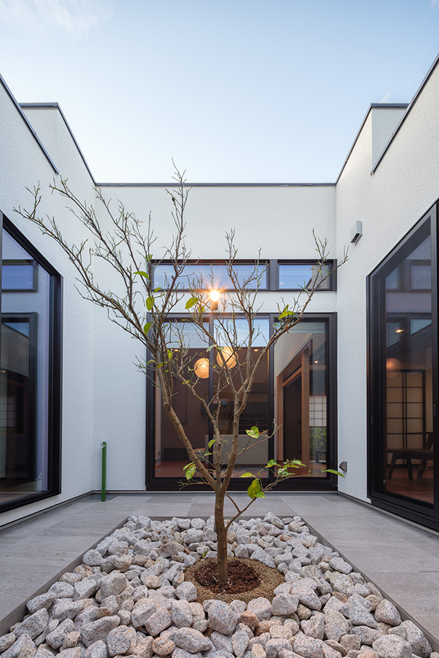 中庭に開放する平屋住宅：内装・インテリア