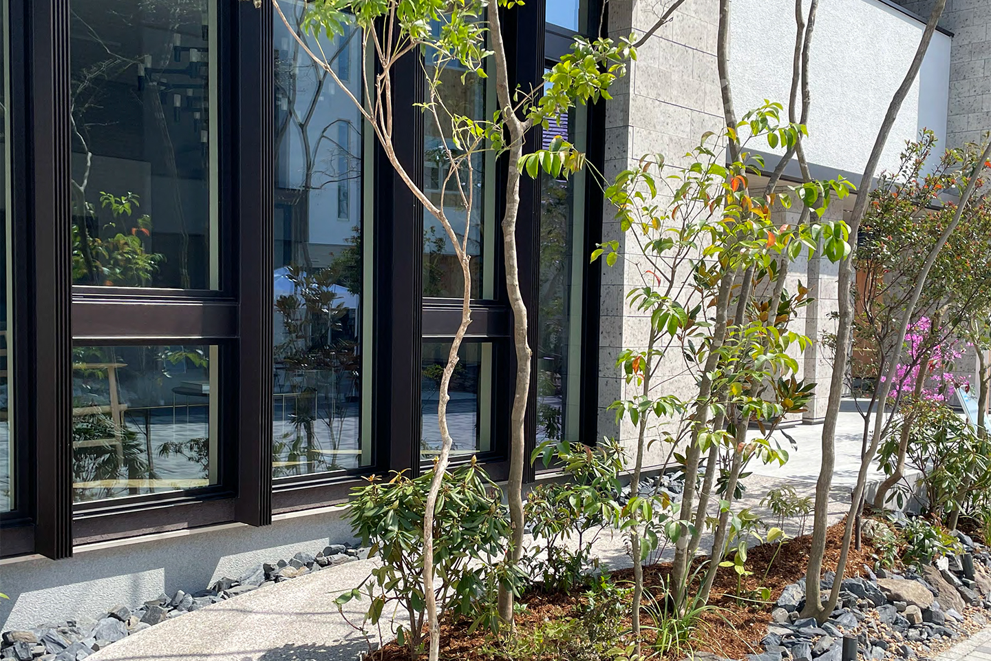 Case Study MINOO：外観