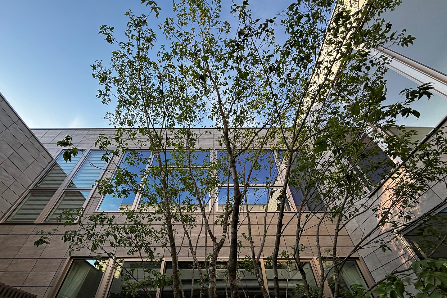 Court ＆ Core：外観