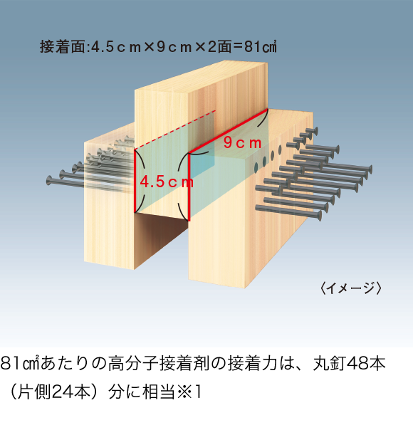 81㎠あたりの高分子接着剤の接着力は、丸釘48本（片側24本）分に相当