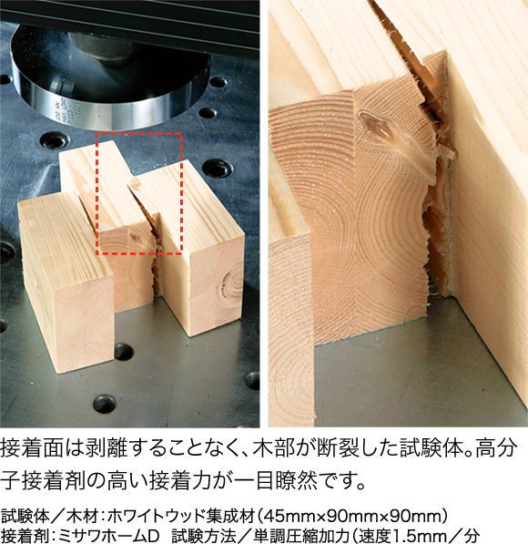 接着面は剥離することなく、木部が断裂した試験体。高分子接着剤の高い接着力が一目瞭然です