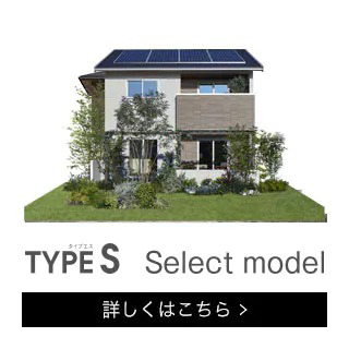 TYPE S Select model